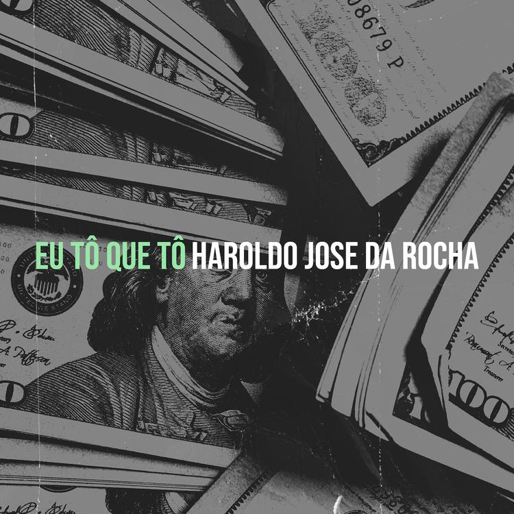 Haroldo Jose da Rocha's avatar image