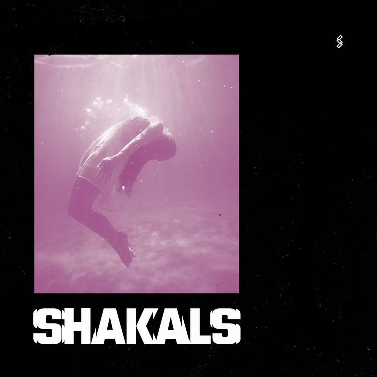 Shakals's avatar image