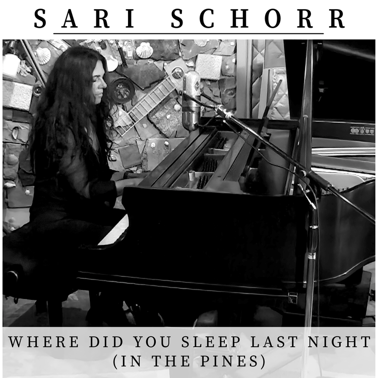 Sari Schorr's avatar image