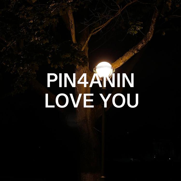 Pin4anin's avatar image