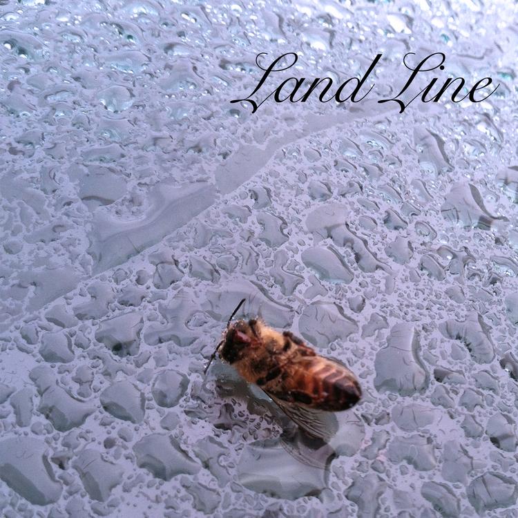 LAND LINE's avatar image
