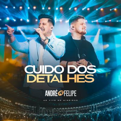 Cuido dos Detalhes (Ao Vivo) By André e Felipe's cover