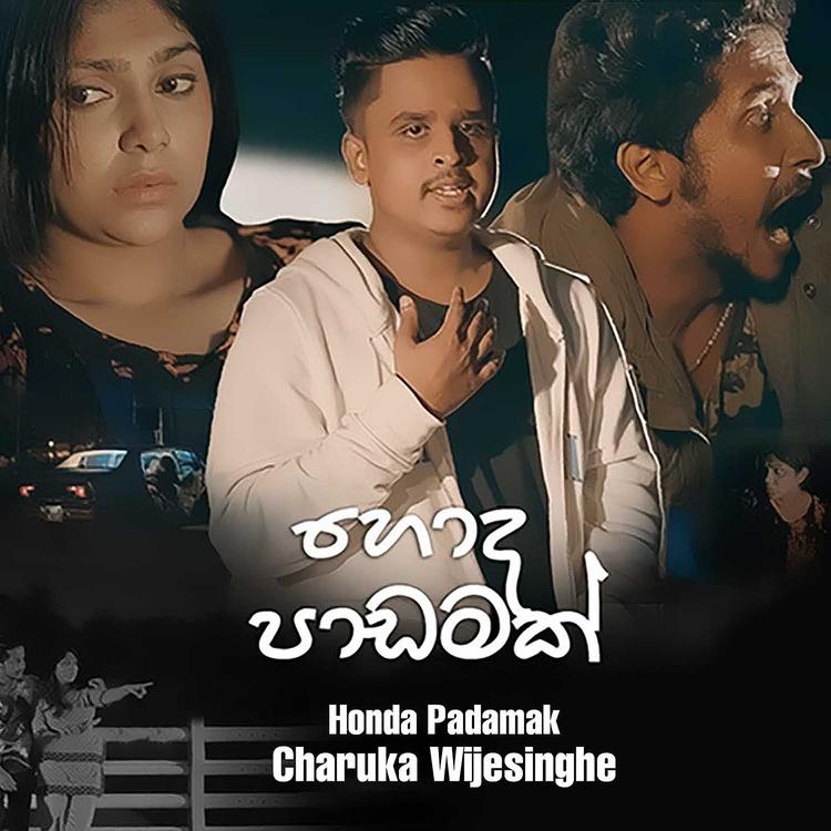 Charuka Wijesinghe's avatar image