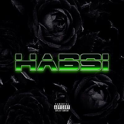 Habsi's cover