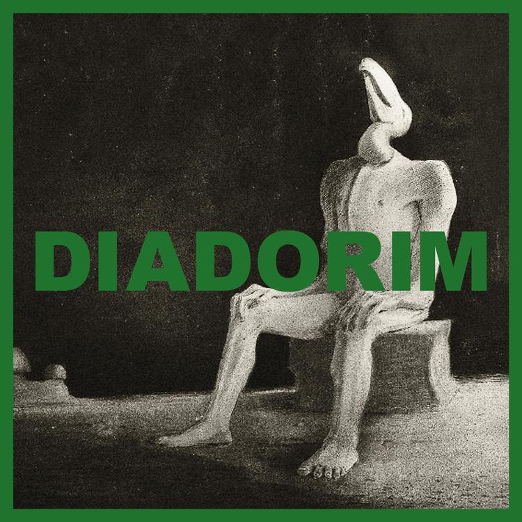 Diadorim's avatar image