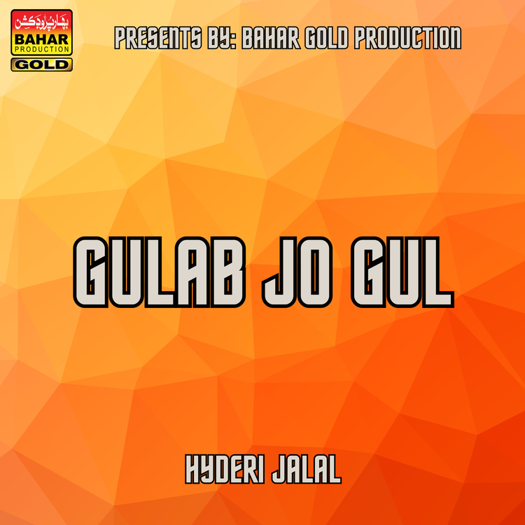 Hyderi Jalal's avatar image