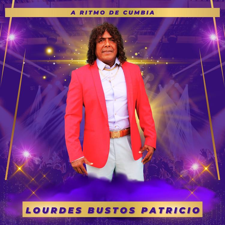 Lourdes Bustos Patricio's avatar image