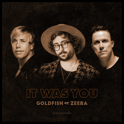 It Was You (With Zeeba) By GoldFish, Zeeba's cover
