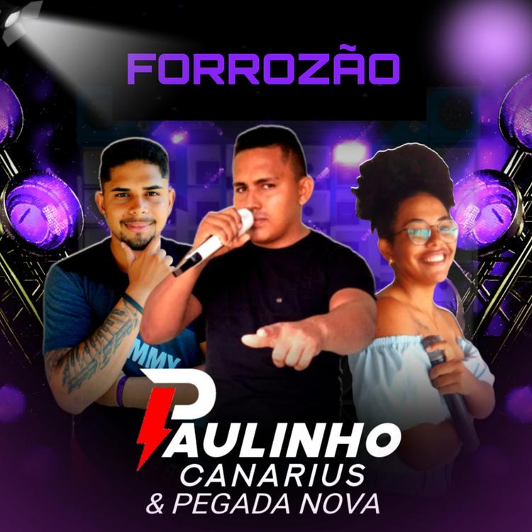 Paulinho Canarius e Pegada Nova's avatar image