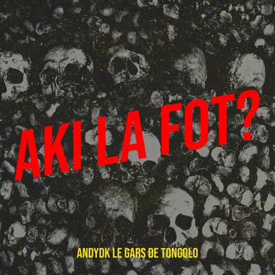 Aki la fot? ( A qui la faute?)'s cover