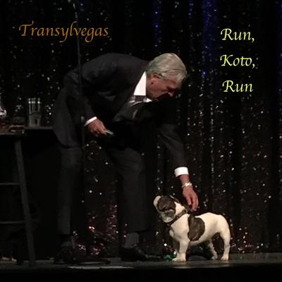 Run, Koto, Run's cover