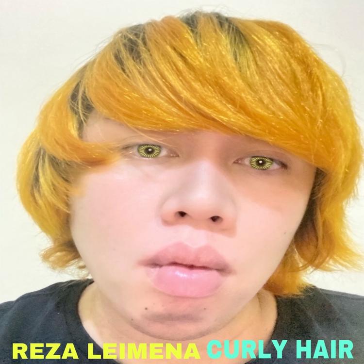 Reza Leimena's avatar image