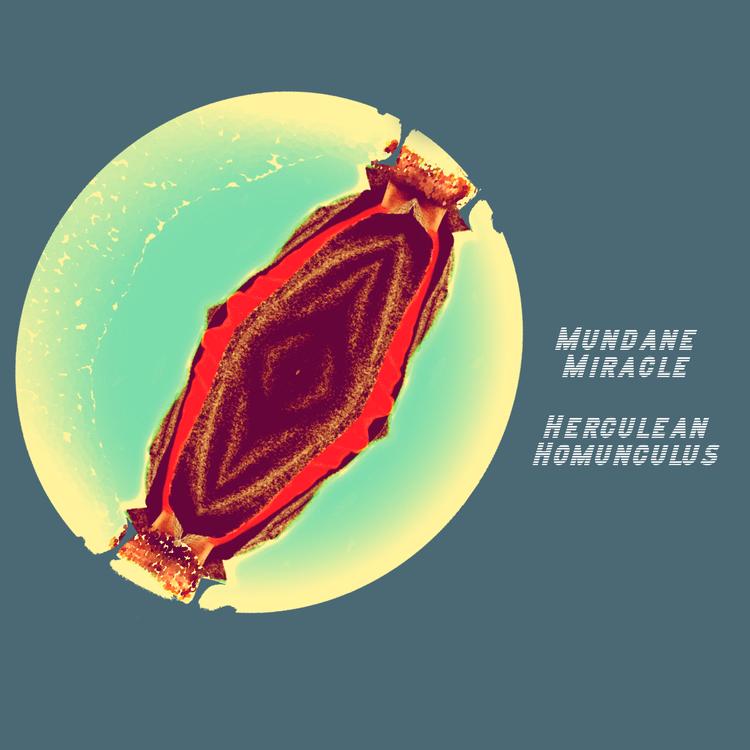 Mundane Miracle's avatar image