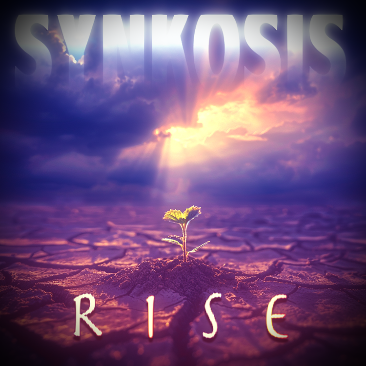 Synkosis's avatar image