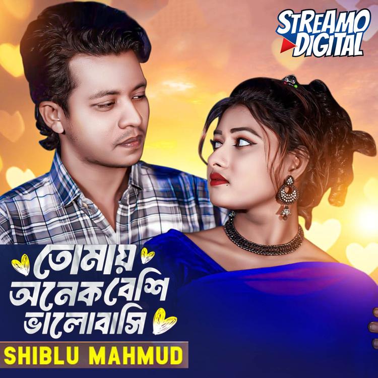 Shiblu Mahmud's avatar image