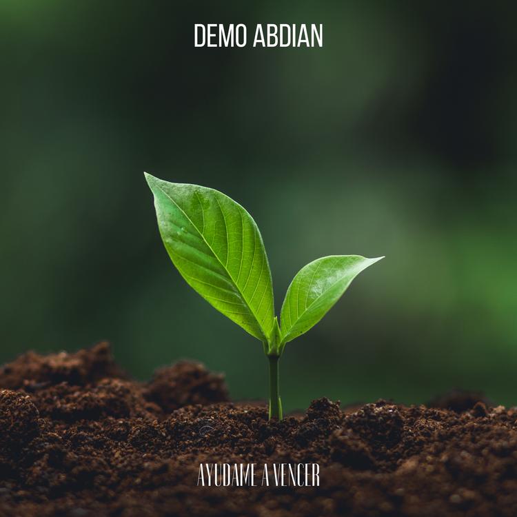 Demo Abdian's avatar image
