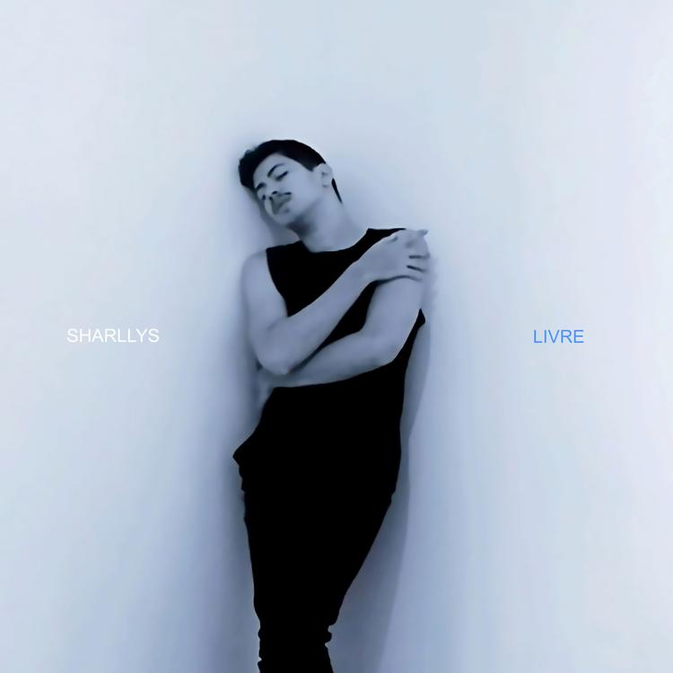 Sharllys's avatar image