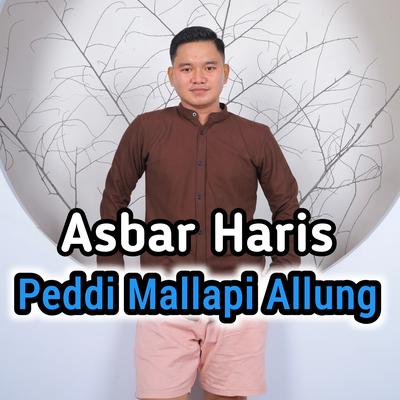 Peddi Mallapi Allung's cover