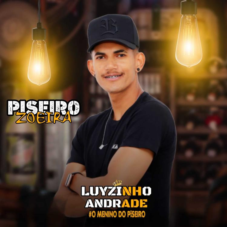 Luyzinho Andrade's avatar image