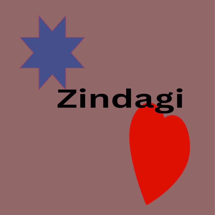 Zeeshans's avatar image