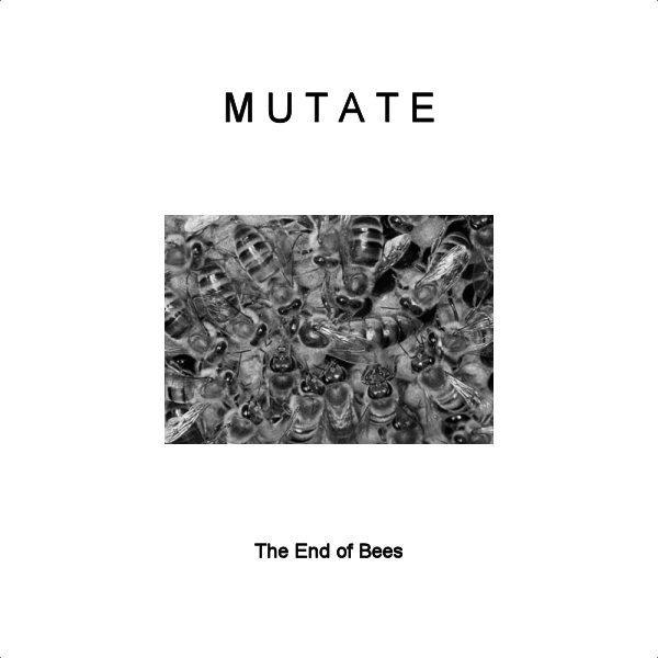 Mutate's avatar image