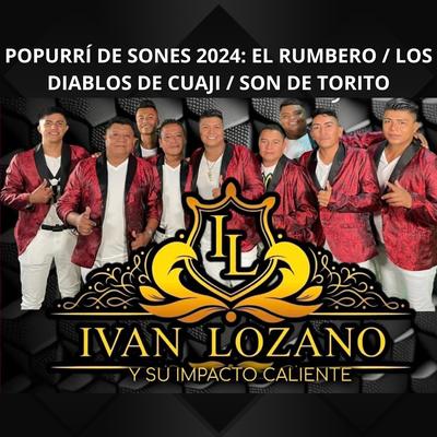 Popurrí de Sones 2024: El Rumbero / Los Diablos de Cuaji / Son de Torito's cover