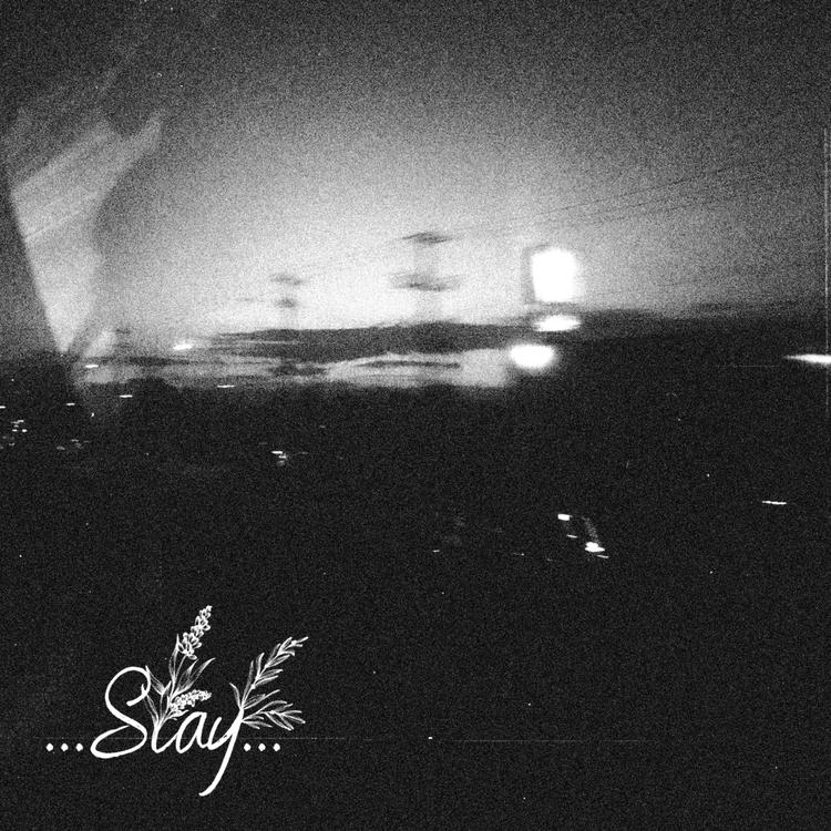 Stay+'s avatar image