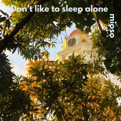 I Don't Like To Sleep Alone's cover