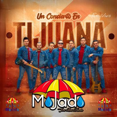 Tonta (En Vivo)'s cover