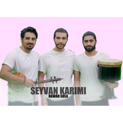 Seywan Karimi's cover