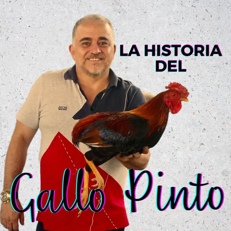 Gallo Pinto's avatar image