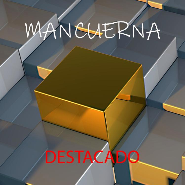 Mancuerna's avatar image