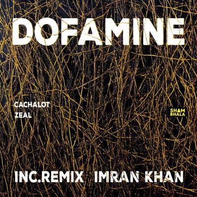 Zeal (Imran Khan Remix) By Dofamine, Imran Khan's cover