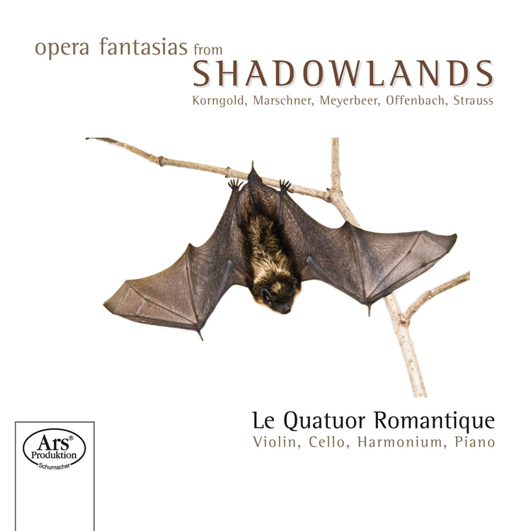 Quatuor Romantique, Le's avatar image