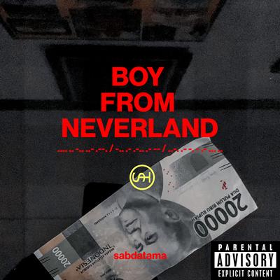 Boy from Neverland's cover