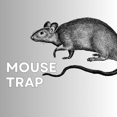 Mouse trap (chapter 2)'s cover