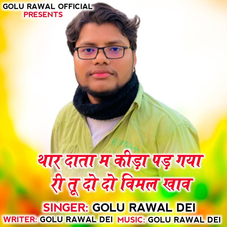 Golu Rawal Dei's avatar image