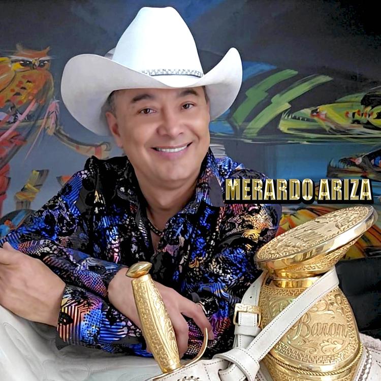 Merardo Ariza's avatar image