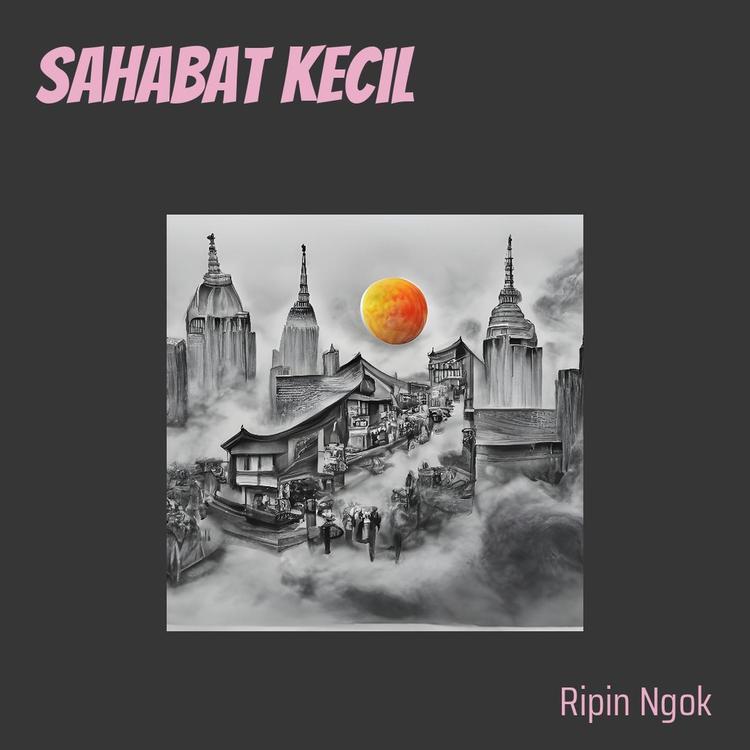 ripin ngok's avatar image