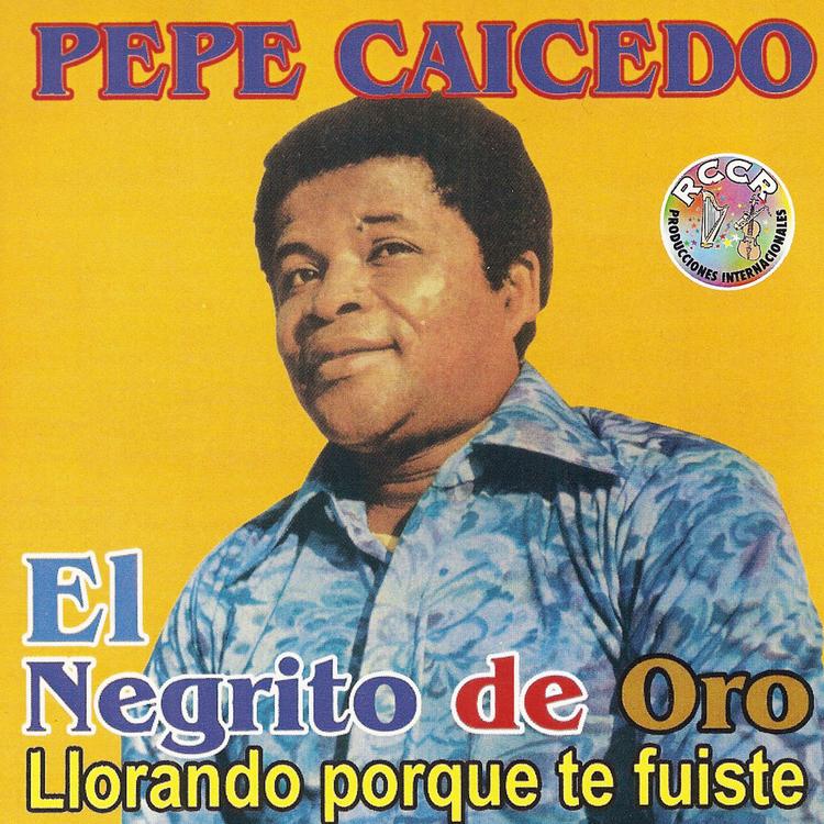 Pepe Caicedo's avatar image