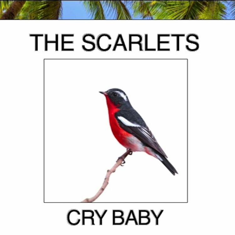 The Scarlets's avatar image
