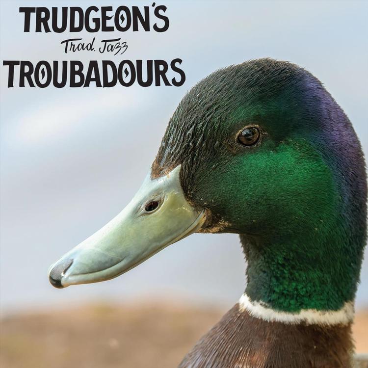 Trudgeon's Tradd Jazz Troubadours's avatar image