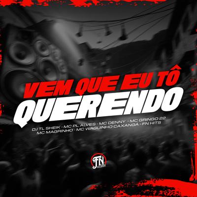 Vem que eu tô querendo By DJ TL SHEIK, mc pl alves, MC Denny, MC GRINGO 22, Mc Magrinho, Mc Waguinho Caxangá, FN HITS's cover