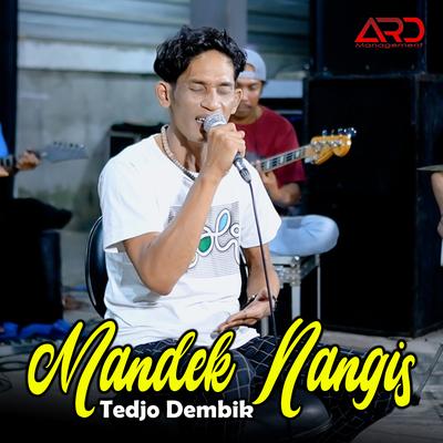 Tedjo Dembik's cover