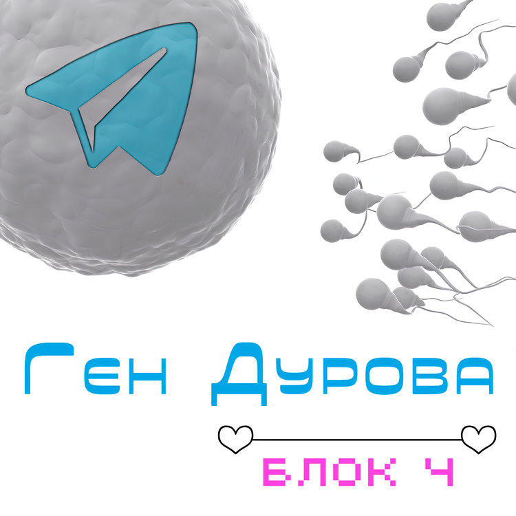 Блок Ч's avatar image