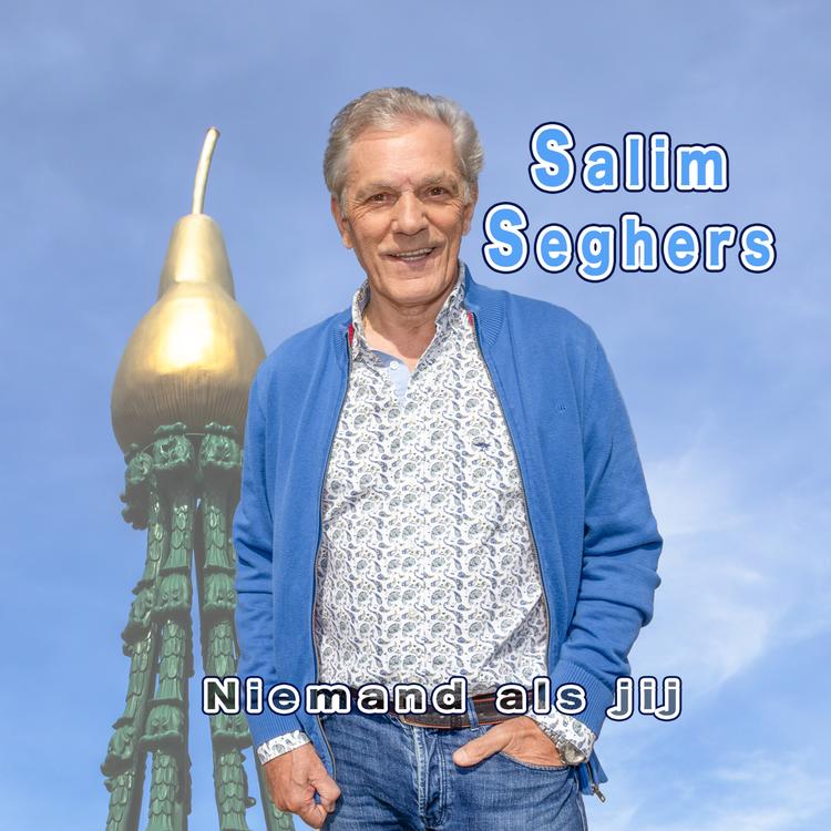 Salim Seghers's avatar image