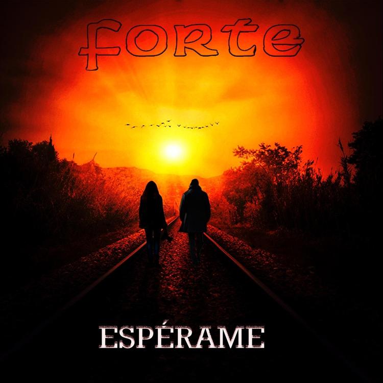Forte's avatar image