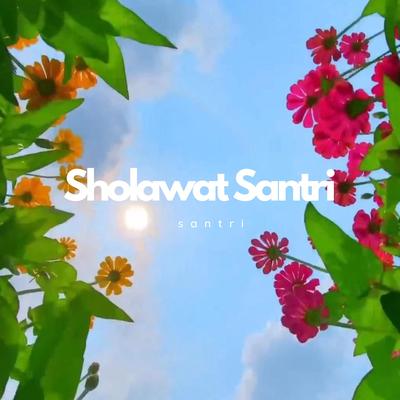 Sholawat Santri's cover