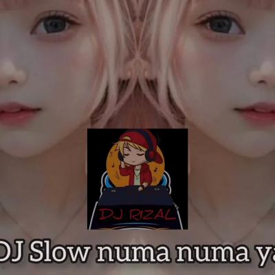 Dj numa numa yay slow's cover