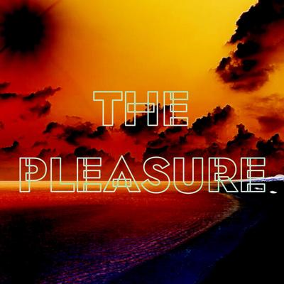 The Pleasure By The Find's cover